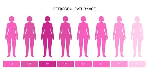 Testosterone estrogen level Stock Illustration