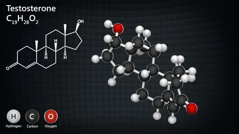 Testosterone Stock Footage 145256868