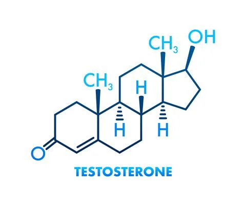 Testosterone formula. Vector thin line icon of testosterone molecular structure Illustrazione stock