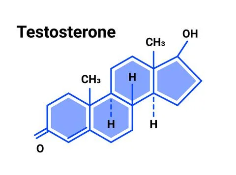Testosterone hormone formula icon. Testosterone molecule structure male hormone Stock Illustration
