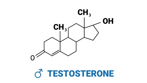 Testosterone Hormone Molecule Structure Stock Footage 316306304