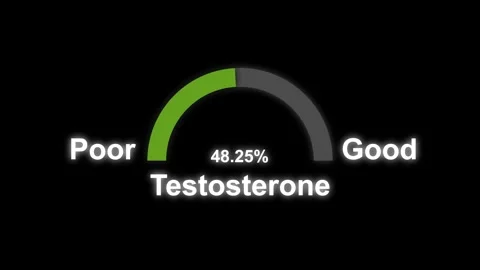 Testosterone hormone speedometer indicators animation Stock Footage 321197942