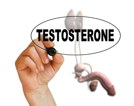 Testosterone Stock Illustration