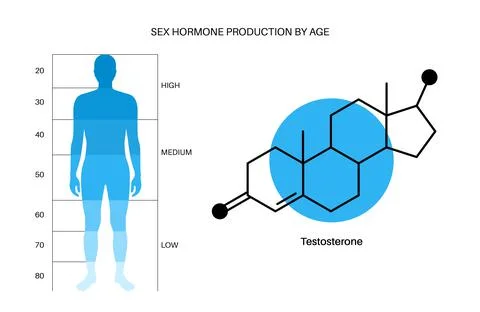 Testosterone level chart Stock Illustration