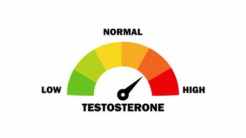 Testosterone level gauge with color scale from green to red indicating low .. Stock Illustration