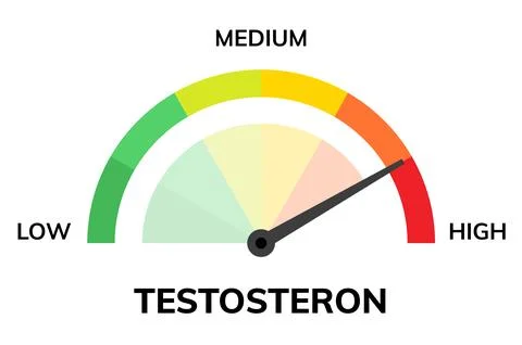 Testosterone Level Indicator with Low, Medium, High Gauge. Testosteron level Stock Illustration