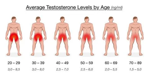 Testosterone Level Men Age Chart Illustrazione stock
