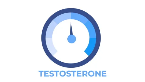 Testosterone level meter animation with rising and falling hormone levels, .. Vídeo Stock 347886720