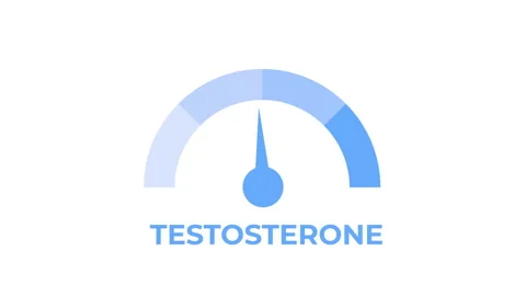 Testosterone level meter animation with rising and falling hormone levels, .. Vídeo Stock 347886996