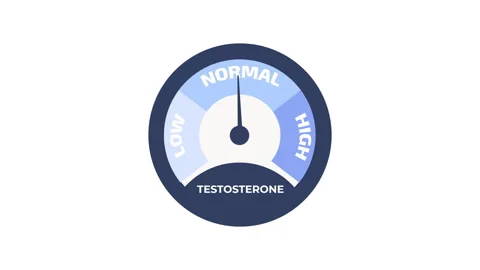 Testosterone level meter animation with rising and falling hormone levels, .. Vídeo Stock 347886998