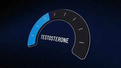 Testosterone level meter gauge fluctuating, blue indicator rising and falling Видео 329582176