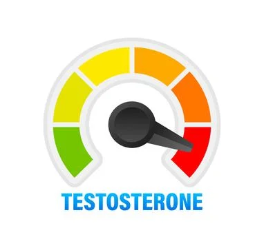 Testosterone Level Meter, measuring scale. Hormone Testosterone speedometer Ilustración de archivo