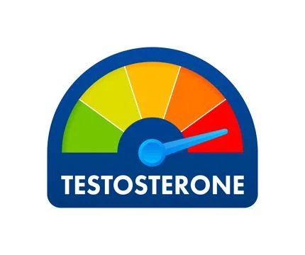 Testosterone level metering scale. Sign tachometer, speedometer, indicators Stock Illustration
