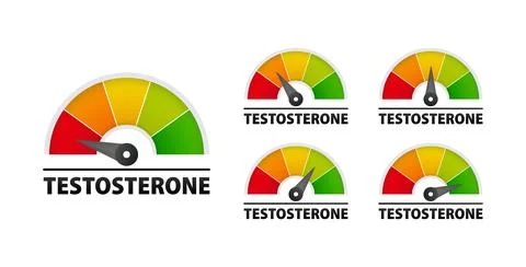 Testosterone level metering scale. Tracking and Managing Your Hormonal Health Ilustración de archivo