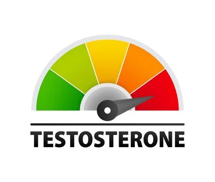 Testosterone level metering. Testosterone hormone speedometer, indicators. Stock-Illustration