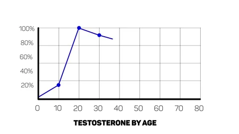 Testosterone Levels by Age Line Chart Animation Stock Footage 316306317