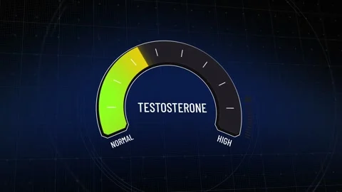 Testosterone meter, from normal to high and back, digital gauge presentation, Video stock 317515370