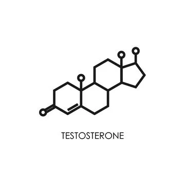 Testosterone molecula structure. colorful line icon isolated Stock Illustration