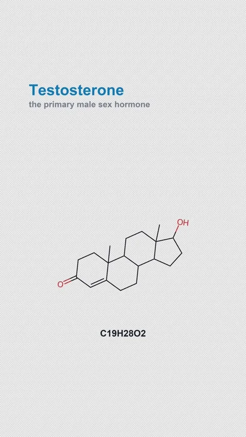Testosterone Molecular Structure Labeled Chemistry Alpha 4K Vertical 9x16 Light Stock Footage 340007593