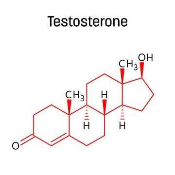 Testosterone structural formula of molecular structure Stock Illustration
