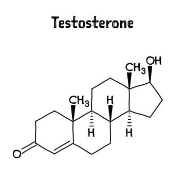 Testosterone structural formula of molecular structure Stock Illustration