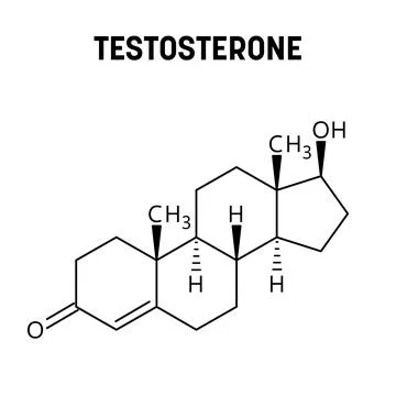 Testosterone structural formula of molecular structure Stock Illustration