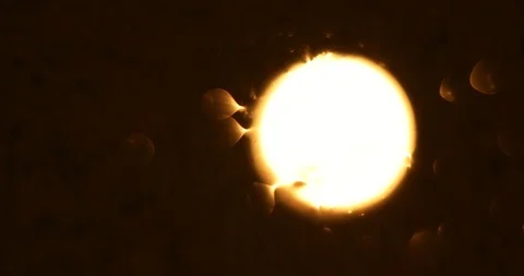 Tests Of Liquid Feces In A Under A Microscope Stock Footage 113179203