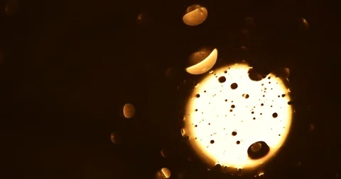 Tests Of Liquid Feces In A Under A Microscope Stock Footage 113179461