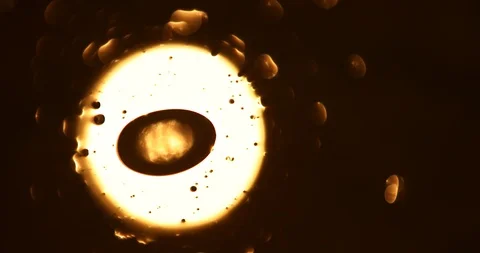 Tests Of Liquid Feces In A Under A Microscope Stock Footage 113179515