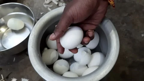 The testy eggs Stock Footage 167813619