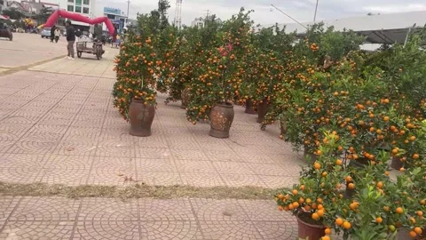 Tet market Stock Footage 300237167