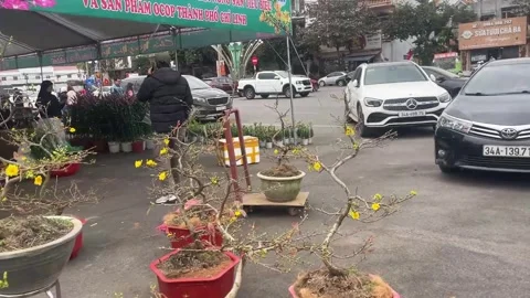 Tet market Video stock 300237172