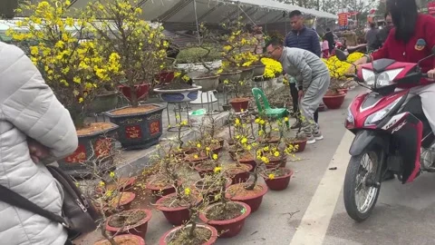 Tet market Stock Footage 300237200