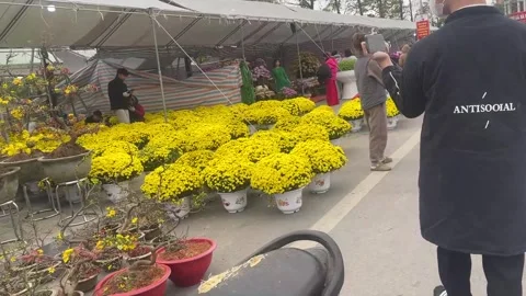 Tet market Video stock 300237205