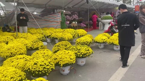 Tet market Stock Footage 300237221