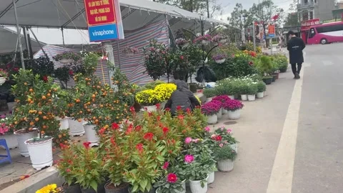 Tet market Stock Footage 300237235