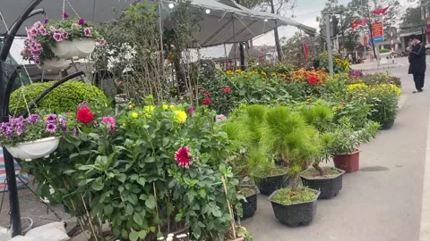 Tet market Video stock 300237251