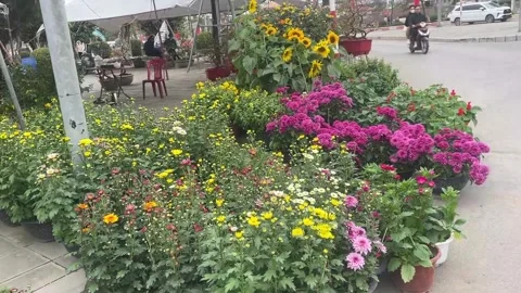 Tet market Stock Footage 300237272