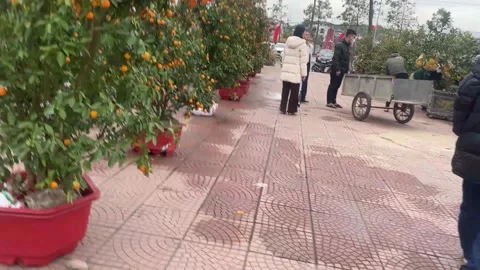 Tet market Stock Footage 300237306