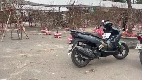 Tet market Stock Footage 300237419