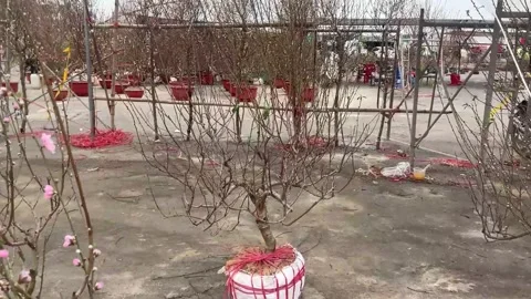 Tet market Video stock 300237438