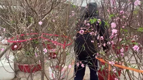 Tet market Video stock 300237490