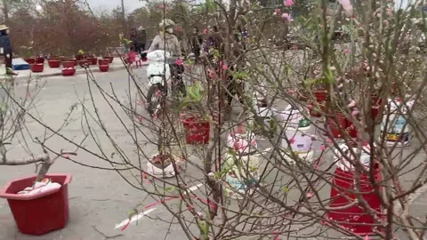 Tet market Video stock 300237542