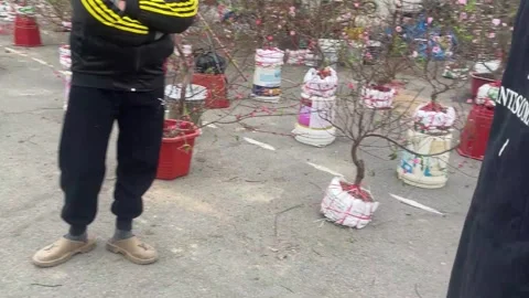Tet market Stock Footage 300237561