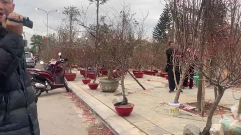 Tet market Video stock 300237577