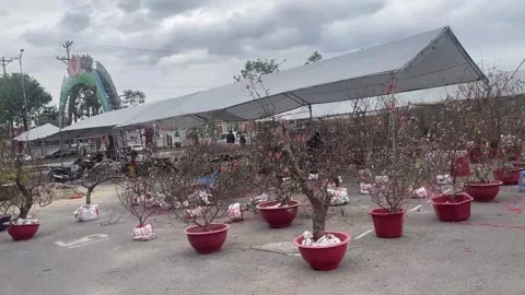 Tet market Stock Footage 300237779