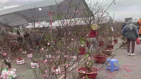 Tet market Stock Footage 300237787