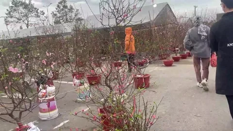 Tet market Stock Footage 300237798