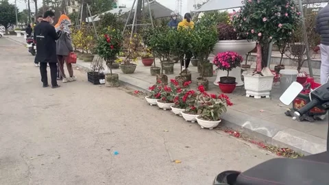 Tet market Video stock 300237913