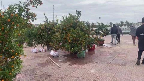 Tet market Stock Footage 300237938